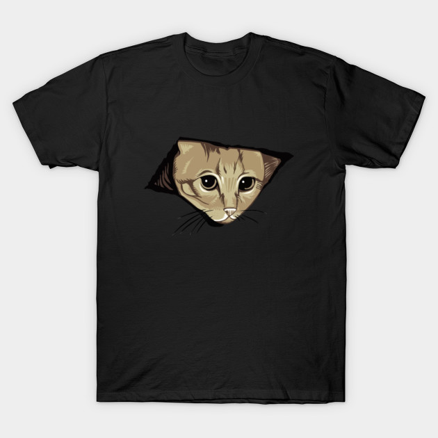 Ceiling Cat