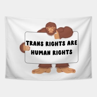 trans rights are human rights bigfoot Tapestry