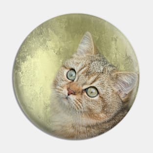 Golden Shaded British Shorthair Cat Pin