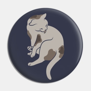 Keep it clean – this is all the cat mean (pose 2) Pin