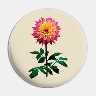 Pink and Yellow Dahlia Pin