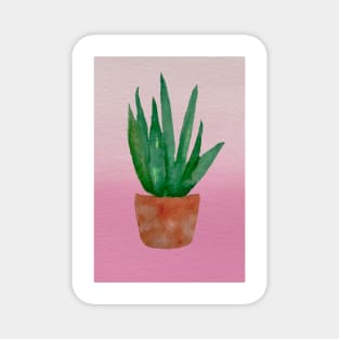 Snake Plant (pink and peach) Magnet