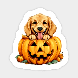 Golden Retriever Dog inside Pumpkin #4 Magnet