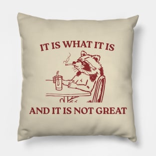 It Is What It Is And It Is Not Great Pillow