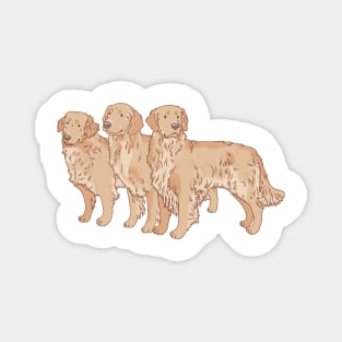 Golden Retriever Trio Magnet