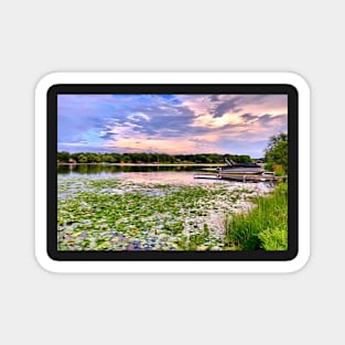 “Lavender Sunset” Magnet