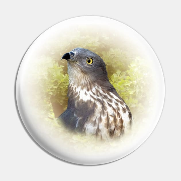 Honey buzzard Pin by Guardi