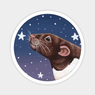 Agouti Hooded Rat Stargazing Magnet