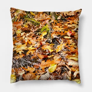 Autumn Stream Pillow