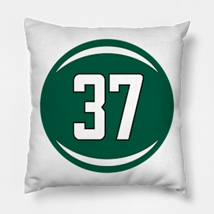 Bryce Hall Pillow