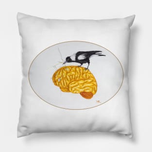 Multiple Sclerosis Pillow