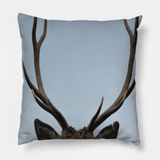 Close up of a Highland Stag Pillow