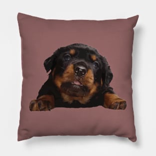 Cute Baby Rottweiler Isolated Cut Out Pillow