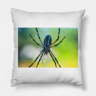 Spider Pillow