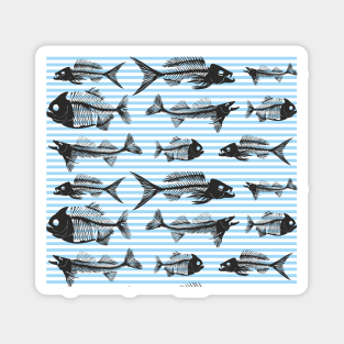 Fishes Magnet