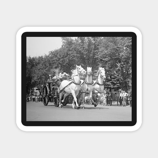 Fire Department Horses, 1925. Vintage Photo Magnet by historyphoto