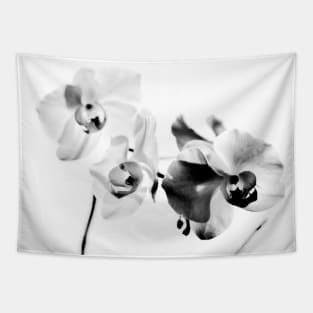 ORCHID Tapestry