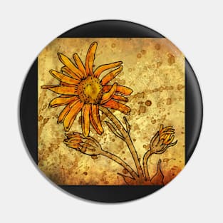 Arnica Montana Pin