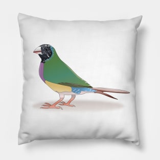 Colorful Finch Pillow