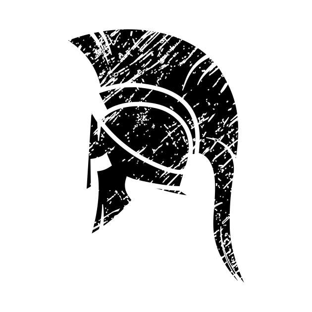 Spartan Helmet by ZenFit