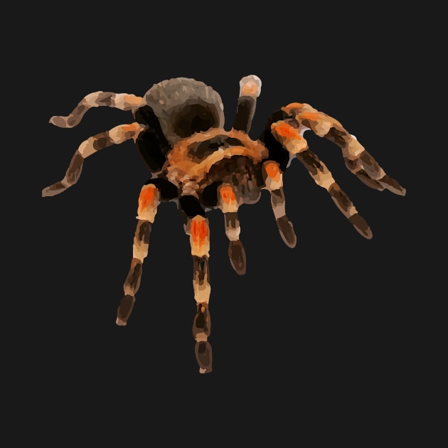 Tarantula by TortillaChief