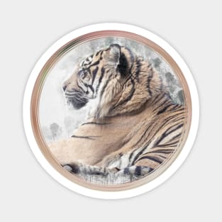 Tiger Wild Animal Safari Africa Jungle Feline World Nature Earth Magnet