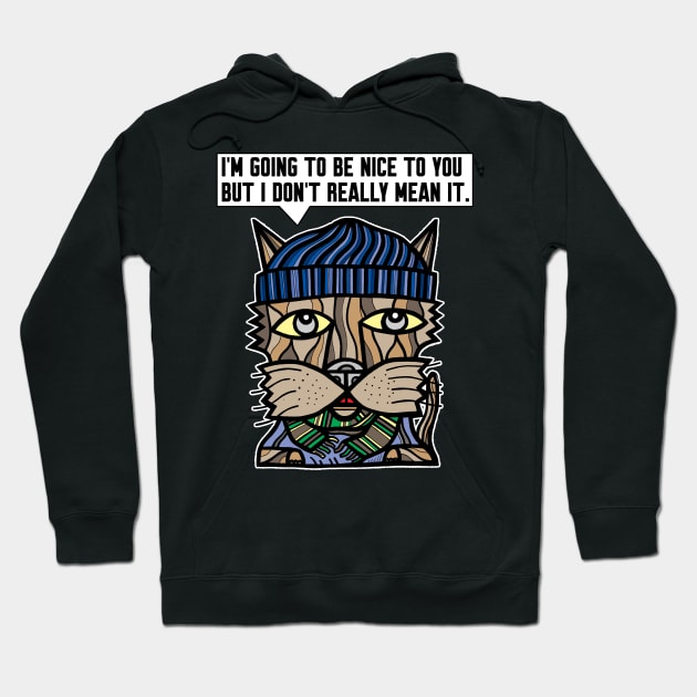 "I'm going to be nice to you but I don't really mean it." Hoodie by The BuddaKats
