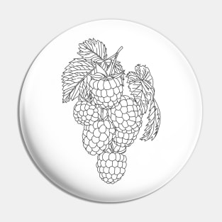 raspberry Pin