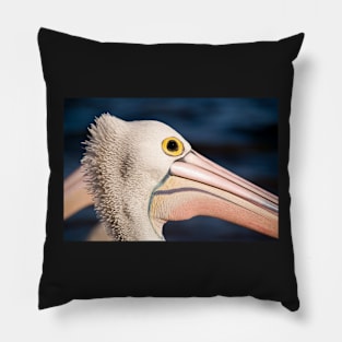 Pelican Portrait, Golden Beach Caloundra Pillow