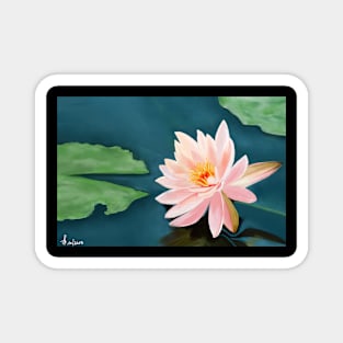 Lotus flower Magnet