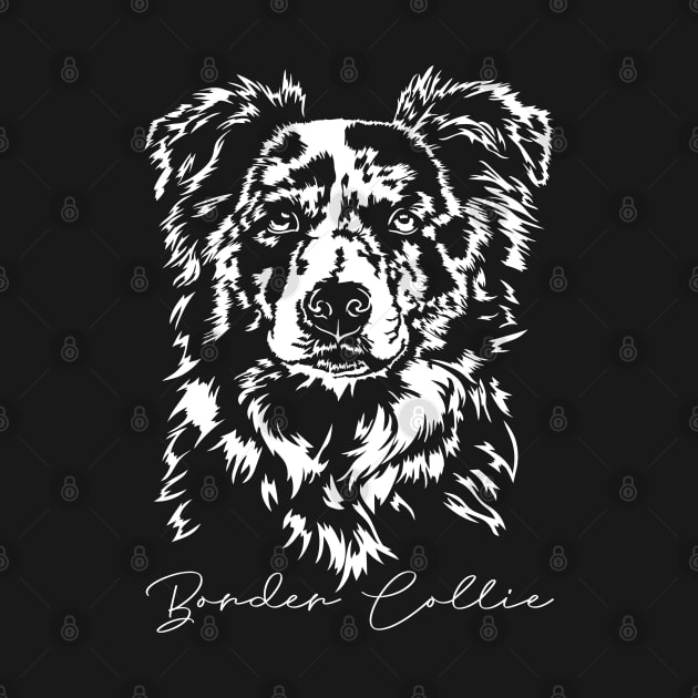 Merle Border Collie Portrait dog lover by wilsigns