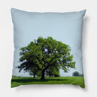 Majestic Oak tree Pillow