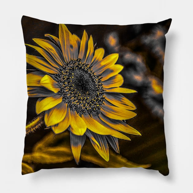 Dark cottage core Sunflower muted yellows Pillow by aadventures