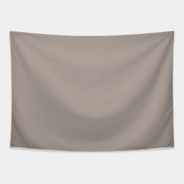 Taupe Grey Plain Solid Color Tapestry by squeakyricardo