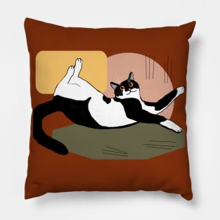 Cute Tuxedo cat want a belly rub  Copyright TeAnne Pillow