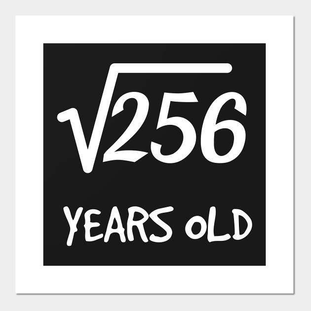 Square Root Of 256 16th Birthday 16 Years Old Teen Boy Girl