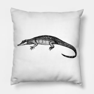 Alligator Pillow