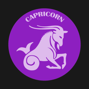 Capricorn Astrology Zodiac Sign - Capricorn Astrology Birthday Gifts -Purple and Lavender T-Shirt