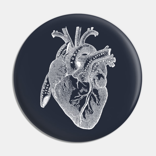 Antique Medical illustration of Human Heart Pin by Pixelchicken