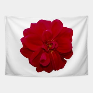 red flower Tapestry