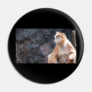 Bronx Zoo Monkey Pin