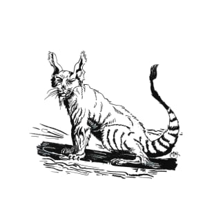 Civet Cat T-Shirt