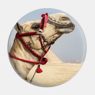 Camel at the Pyramids Pin