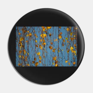 Autumn leafs and sky Pin