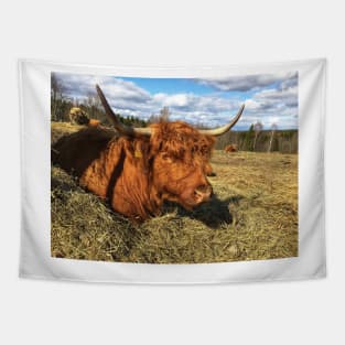 Scottish Highland Cattle Cow 2374 Tapestry