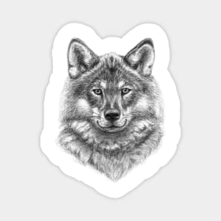 Wolf face G21-003 Magnet