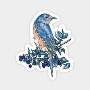 Bluebird Magnet