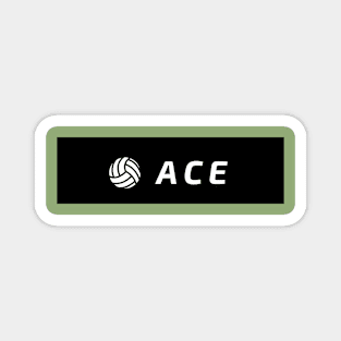 ACCEE Magnet