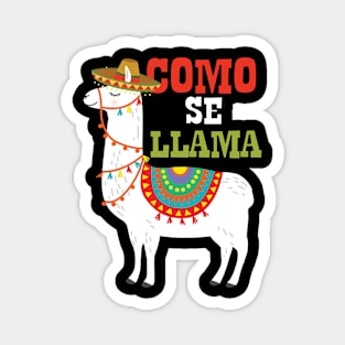 Cinco De Mayo Llama Fiesta Ultimate Party Vibe May 5th Magnet