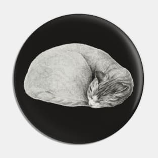 Rolled up lying, sleeping cat by Jean Bernard Pin